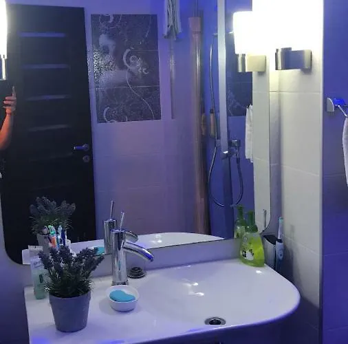 Ozana ホームステイ コンスタンツァ